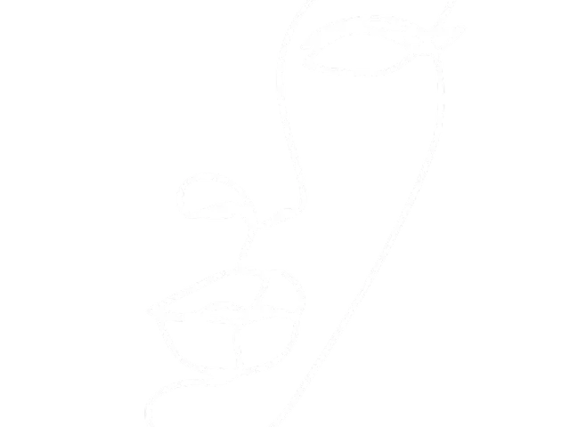 MedSpaDR Skin Advisory white line-drawing face logo on a black background